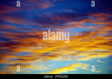 Sky. Cirrus clouds at sunset. Stock Photo