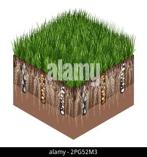 Lawn care - aeration and scarification. Labels by stage- after. Intake of substances-water, oxygen, and nutrients to feed the grass and soil. Vector Stock Vector