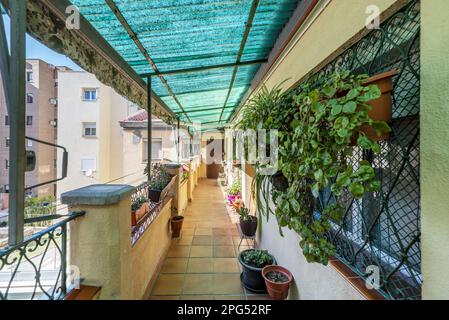 A covered corridor in a building with access to multiple houses full of plants, roller awnings and views of the street Stock Photo
