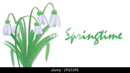 Snowdrops or Galanthus nivalis on white background. Spring vector illustration in the form of a banner with a beautiful inscription. Vector background Stock Vector