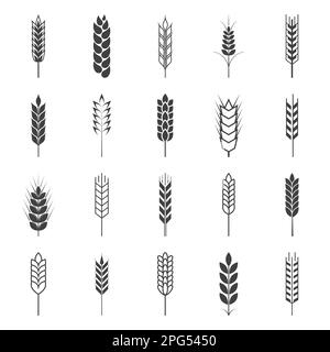 Set of simple wheat ears icons Stock Vector