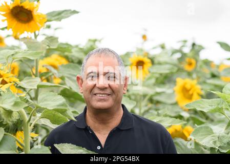 Positive smiling senior man stands in his sunflower farm field on summer day, when the flowers are in full bloom. Stock Photo