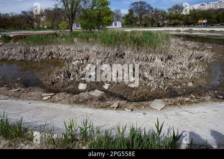 Ecological catastrophy. Drying lake in city park. Dry swamp lake disappears, idea and concept of environmental conservation, drought, warming and cata Stock Photo