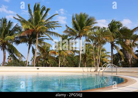 View to swimming pool and coconut palm trees. Vacation on beach resort on tropical island Stock Photo