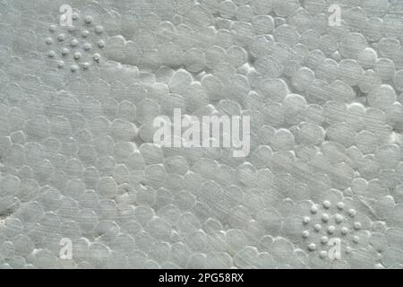 Close-up view of white expanded polystyrene (PS) plastic foam. Used for food or electronic packaging, or insulation of buildings. Stock Photo