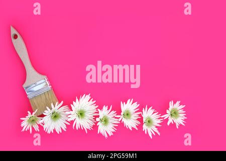 Painting chrysanthemum summer flowers with paintbrush on vivid pink background. Minimal surreal nature floral contrast concept. Stock Photo