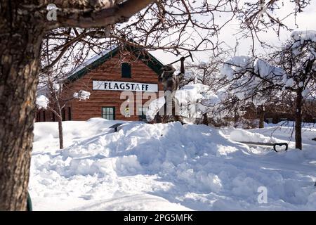 FLAGSTAFF, AZ/US - January 20, 2023: Flagstaff Gandy Dancer Sculpture in Snow. Sculpture by Clyde “Ross” Morgan on San Francisco St and Route 66. Stock Photo