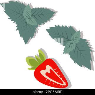 Half a strawberry with mint leaves in trendy summery shades. Additional ingredients for mojito cocktail. Happy. Strawberry day. Sticker. Icon. Isolate. Design for poster or greeting card, price. EPS Stock Vector
