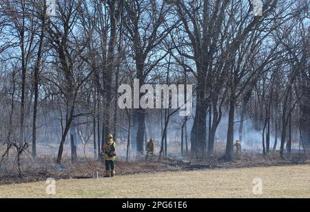 Prescribed burn to eliminate non-native species at Wayside Woods in Morton Grove, Illinois Stock Photo