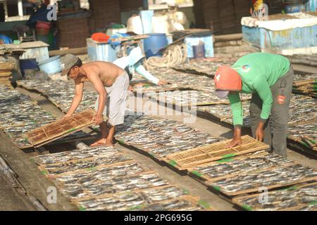 Banyuwangi, Indonesia - October 9, 2021 : People drying fish at the fishing port. Street Photography Editorial Stock Photo