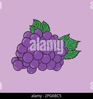 Grape Purple image vector illustrations Stock Vector