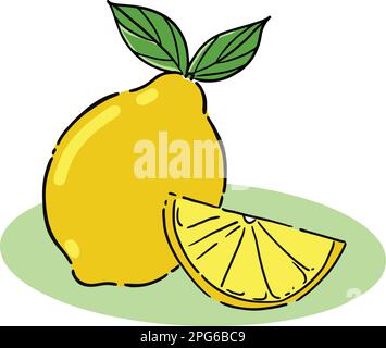 Orange Lemon fruit vector image illustrations Stock Vector