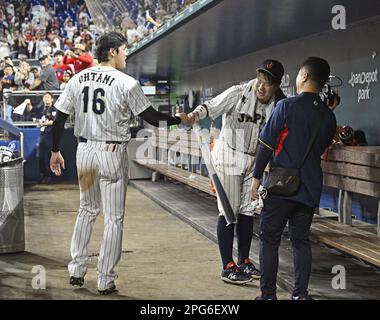 Tokyo, Japan, March 21, 2023. Lars Nootbaar (L) celebrates with Shohei  Ohtani after Japan beats Mexico 6-5 in the World Baseball Classic semifinal  game at loanDepot park in Miami, Florida, on March