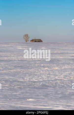 A lone tree and barn in a vast, snowy, prairie landscape.  Minimalism Stock Photo