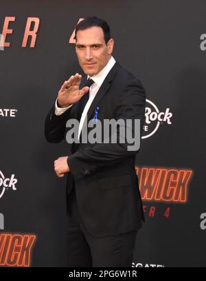 Marko Zaror in negotiations to play antagonist in 'John Wick 4'- The New  Indian Express