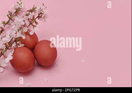 easter composition. easter decor painted eggs with branches of cherry blossoms. Stock Photo