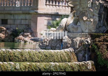 Detail of the Fountain designed by Josep Fontserè inside The Parc de la Ciutadella, Citadel Park, in Ciutat Vella Neighborhood in Barcelona, Catalonia Stock Photo