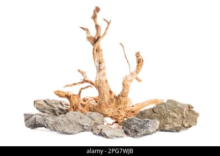 Grey mountain stone with red moor driftwood for freshwater aquarium aquascaping design isolated on the white background. Stock Photo
