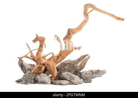 Grey mountain stone with red moor driftwood for freshwater aquarium aquascaping design isolated on the white background. Stock Photo