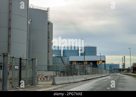 Refinery installation and tanks in the Botlek harbor at the port of Rotterdam in the Netherlands Stock Photo