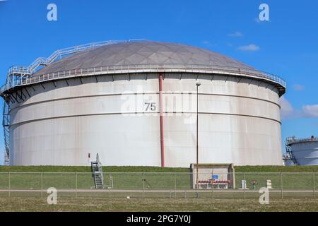 BP refinery in Europoort as part of the port of Rotterdam in the Netherlands Stock Photo