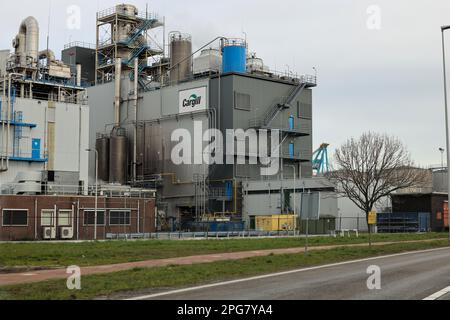 Refinery installation and tanks in the Botlek harbor at the port of Rotterdam of Cargill in the Netherlands Stock Photo