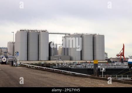 Refinery installation and tanks in the Botlek harbor at the port of Rotterdam in the Netherlands Stock Photo