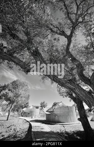 The roots of Lop Nur people can be traced back thousands of years. They depended basically on fishing for their livelihood Stock Photo