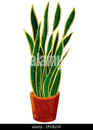 Hand-drawn watercolor illustration of Sansevieria in brown pot Stock Photo