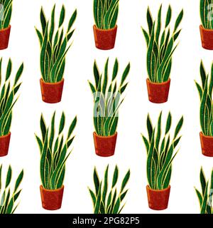 Hand-drawn watercolor seamless pattern of Sansevieria in brown pot Stock Photo