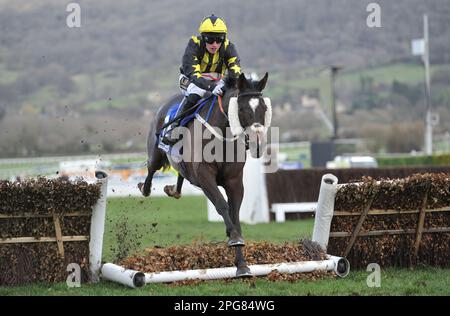 Second race 2.10 The McCoy Contractors County Hurdle   Ganapathi ridden by Alan Doyle over the last    Horse racing at Cheltenham Racecourse on Day 4 Stock Photo