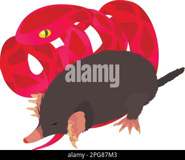 Wild world icon isometric vector. Black mole animal near bright red cobra icon. Biological diversity concept Stock Vector