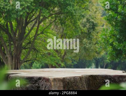 Wood tabletop podium floor in outdoors green leaf tropical forest nature landscape background.Organic healthy natural product present placement pedest Stock Photo