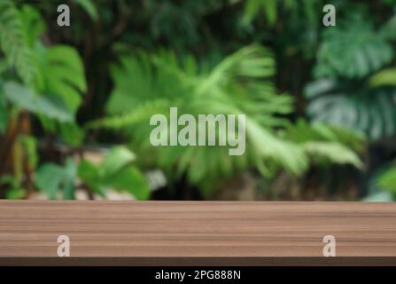 Wood tabletop podium floor in outdoors green leaf tropical forest nature landscape background.Organic healthy natural product present placement pedest Stock Photo