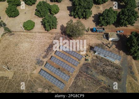 Nicolas Remene / Le Pictorium -  Bamako - Mali: Urbanisation, Development and Climate Change -  15/2/2021  -  Mali / Koulikoro / Siby  -  Solar power plant in Siby in the Kati circle and the Koulikoro region, about 50 km from Bamako. The entire Mande region is particularly affected by the problems of wood cutting and deforestation. The use of charcoal is still omnipresent. The presence of numerous artisanal gold panning sites accelerates the clearing of forests and presents significant risks for the environment. There is also significant sand extraction from the Niger River in this area (Banco Stock Photo