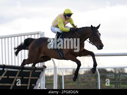 File photo dated 03-02-2023 of Hold Up La Colmine who can make the long journey from Somerset to Sedgefield pay dividends in the the Join The Vickers.Bet Free Bet Club Handicap Hurdle. Issue date: Tuesday March 21, 2023. Stock Photo