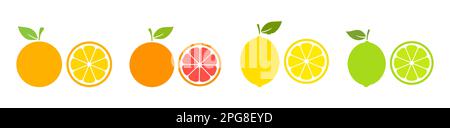 Whole citrus fruit with slices collection. Orange, grapefruit, lemon and lime set. Vector illustration isolated on white. Stock Vector