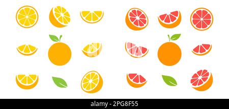 Orange and grapefruit fruits slices set. Tangerine collection. Vector illustration isolated on white. Stock Vector
