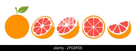 Grapefruit fruits slices set. Vector illustration isolated on white. Stock Vector