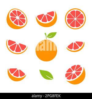Grapefruit fruits slices set. Vector illustration isolated on white. Stock Vector