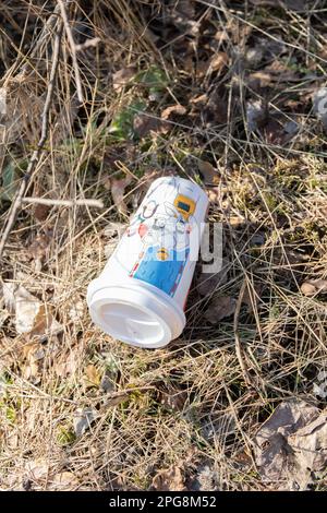 photo of a used coffee cup on the grass in the woods Stock Photo