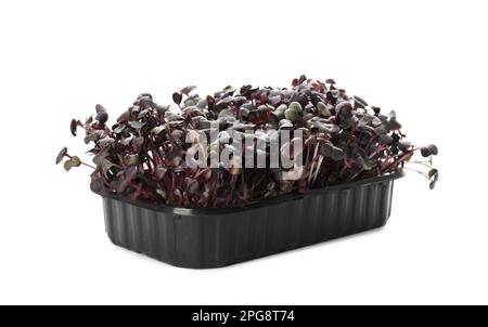 Fresh radish microgreens in plastic container isolated on white Stock Photo