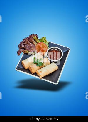 Floating Chicken Roll on Black Plate on blue gradient background Stock Photo