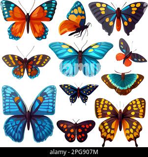 set vector illustration of butterfly isolate on white background Stock ...