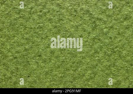 Green textured blank paper background close up. Vintage grainy background for design. Stock Photo