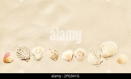 Sandy beach with seashells. Travel and vacations concept background. Top view, flat lay Stock Photo