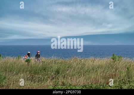 Couple walking among the vegetation of the town of Sonabia, cliff on the shores of the Cantabrian Sea, Bay of Biscay, Cantabria, Spain, Europe Stock Photo