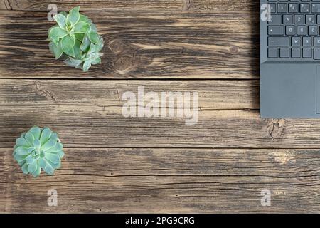 A laptop and two succulent home plants on a wooden table, the concept of work from home, remote work, freelance and online education, top view with co Stock Photo