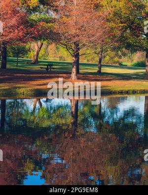 Capture the stunning beauty of autumn with this photograph of Crowley Park, Richardson, Texas. The tranquil pond reflects the vibrant colors of the fa Stock Photo