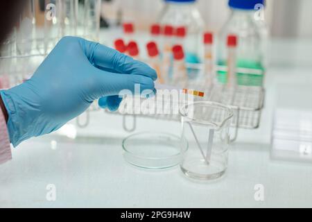 Gloved hand of chemist holding ph acid indicator over glassware during scientific experiment while sitting by workplace in laboratory Stock Photo